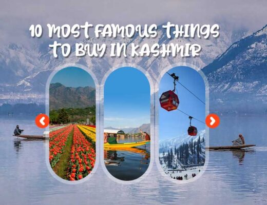 10 Most Famous Things to Buy In Kashmir