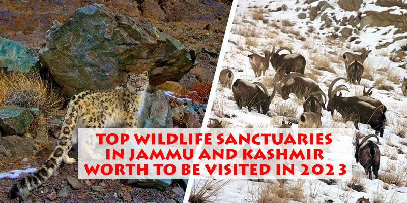 Wildlife Sanctuaries in Jammu and Kashmir
