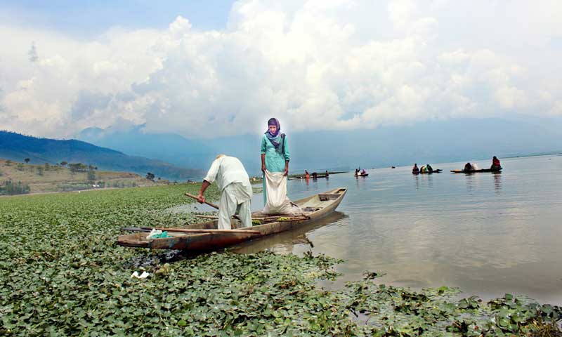 wular lake kashmir