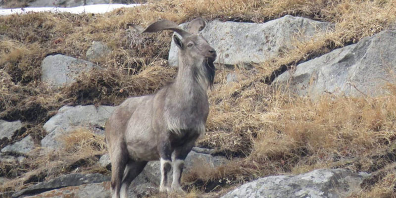 Hirpora Wildlife Sanctuary