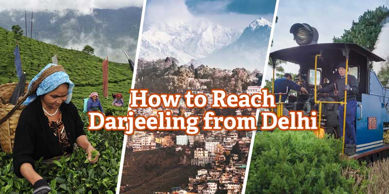 Darjeeling-from-Delhi