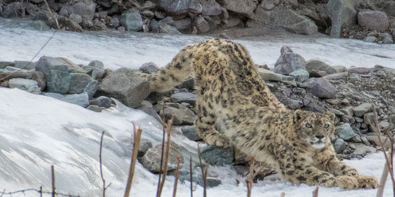 Kishtwar High Altitude National Park
