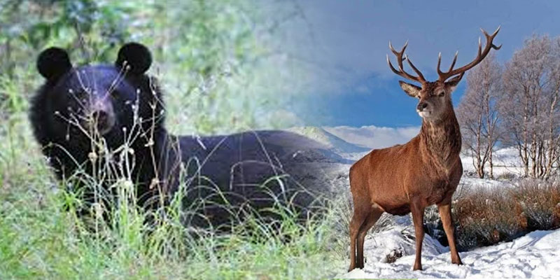 Overa-Aru Wildlife Sanctuary