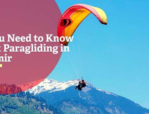All You Need to Know About Paragliding in Kashmir