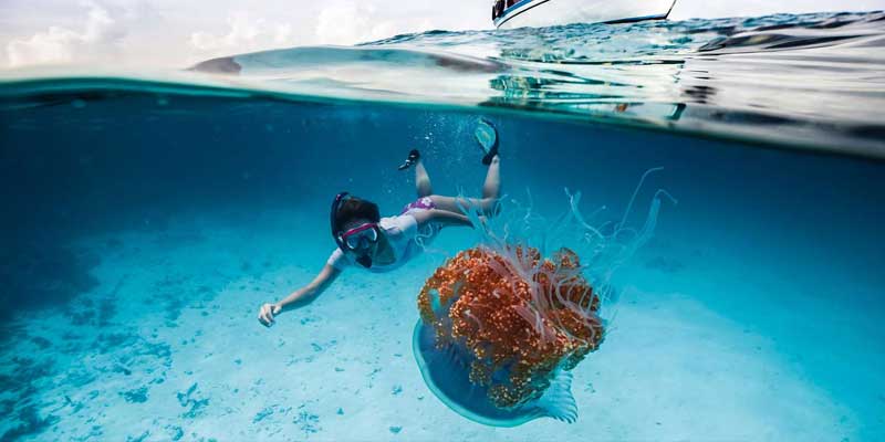 Addu City  Diving maldives