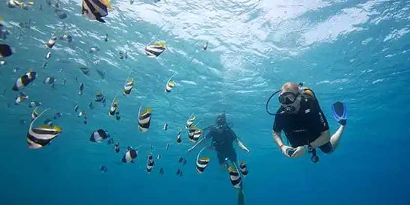 Kuredu Express Diving maldives