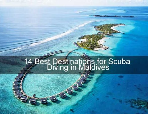 14 Best Destinations for Scuba Diving in Maldives