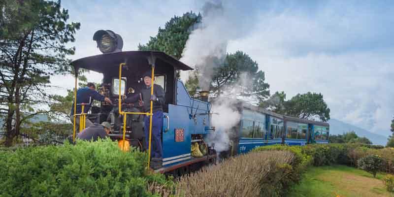 Darjeeling Himalayan Railway (Toy Train)