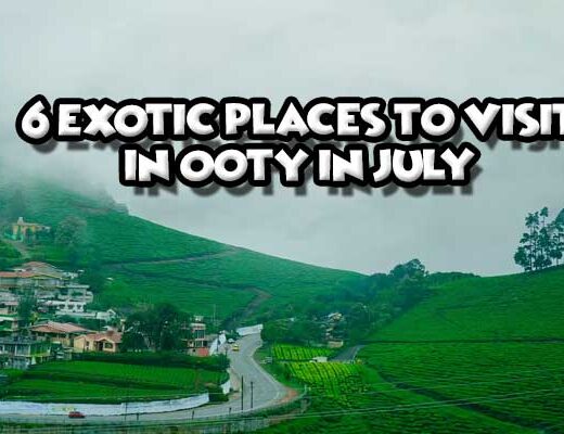 6 Exotic Places to Visit in Ooty in July 2025