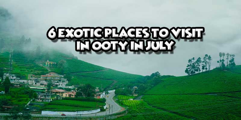 6 Exotic Places to Visit in Ooty in July 2024
