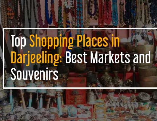 Top Shopping Places in Darjeeling: Best Markets and Souvenirs