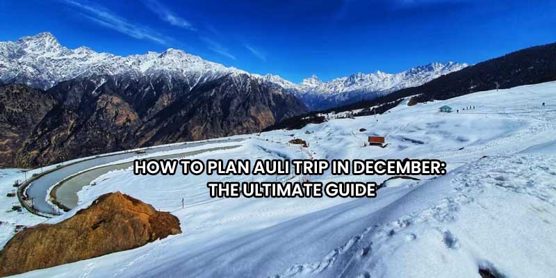 How-to-Plan-Auli-Trip-in-December