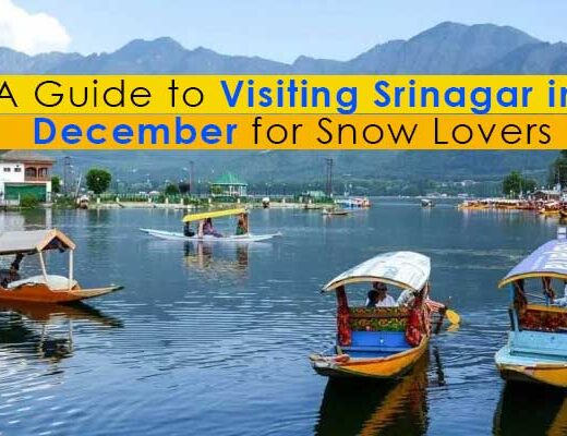 A Guide to Visiting Srinagar in December for Snow Lovers