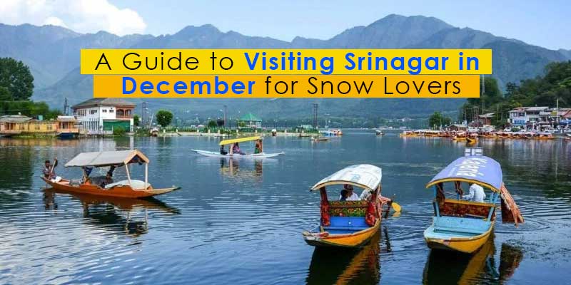 A-Guide-to-Visiting-Srinagar