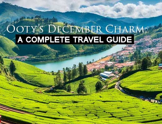 Ooty’s December Charm: A Complete Travel Guide