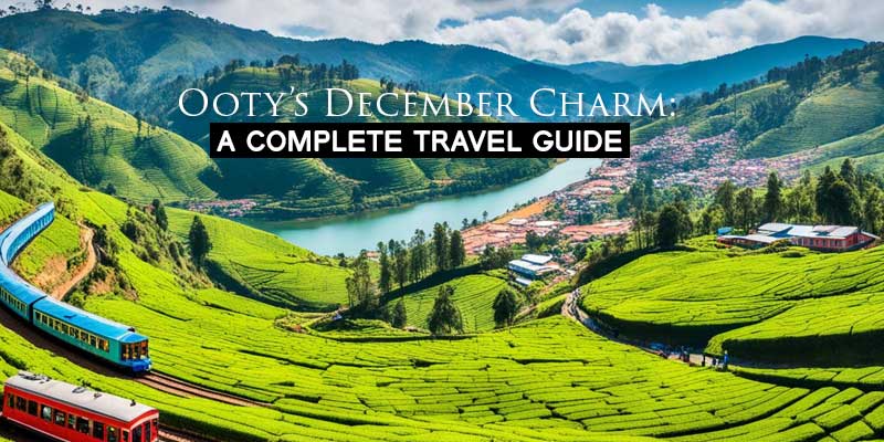 Ooty’s December
