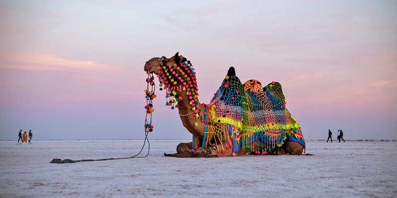 Rann of Kutch