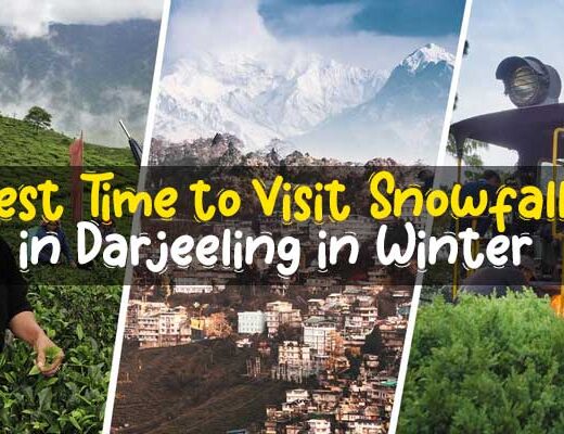 Best Time to Visit Snowfall in Darjeeling  in Winter