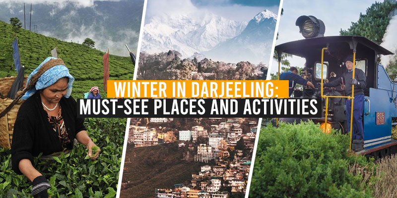 thaings to do darjeeling