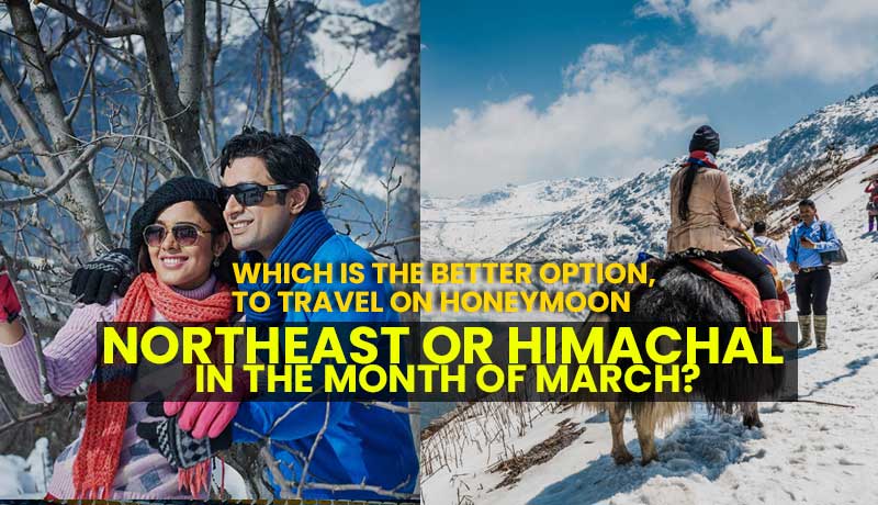 Which is the better option