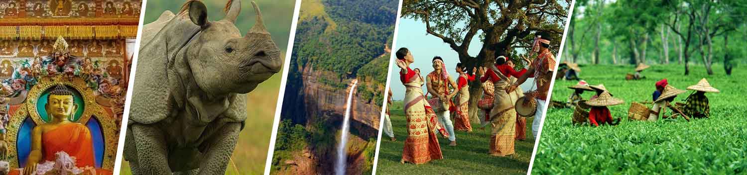 assam Tour Packages