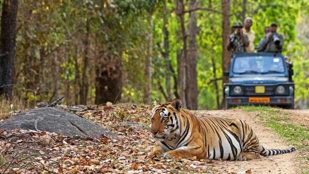 bandhavgarh tours