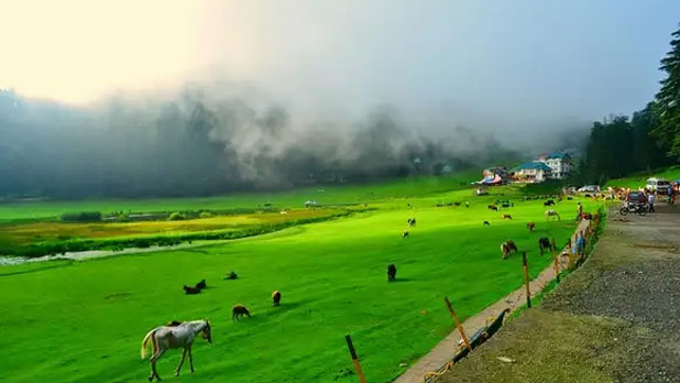 dalhousie tour package