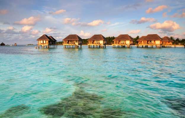 honeymoon maldives tours
