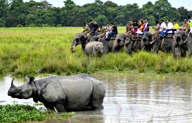 kaziranga tour