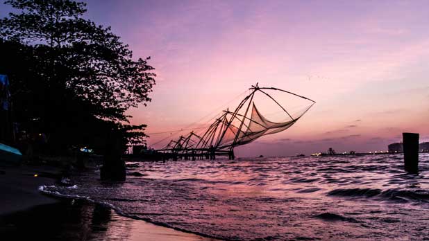 kochi tours