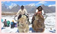 Honeymoon in Manali: A Complete Guide for Newlyweds