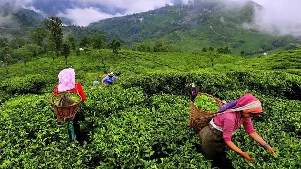 Kerala with Madurai Rameshwaram& Kanyakumari
