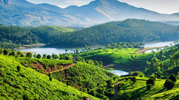 munnar001 tours