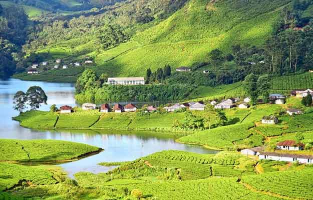 munnar tours