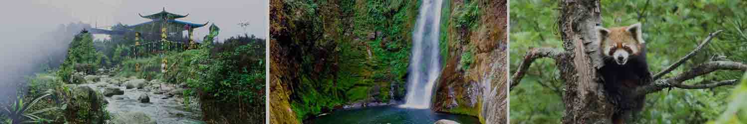 Neora Valley National Park