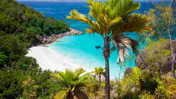 Romance in Seychelles 