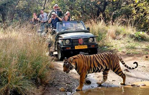 ranthambore Tour