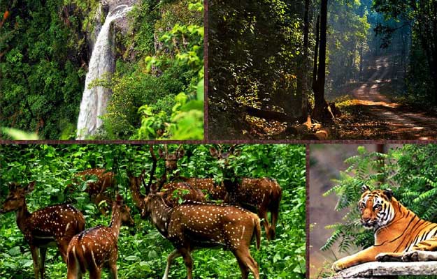 2N/3D (Similipan) Odisha Wildlife Tour Package @Best Price