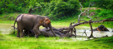Sri Lanka Adventurous Tour Package