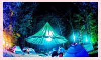 New Year Celebration in Manali: Places, Timings, Entry Fee